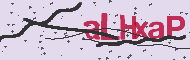 Captcha認証コード
