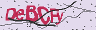 Captcha認証コード